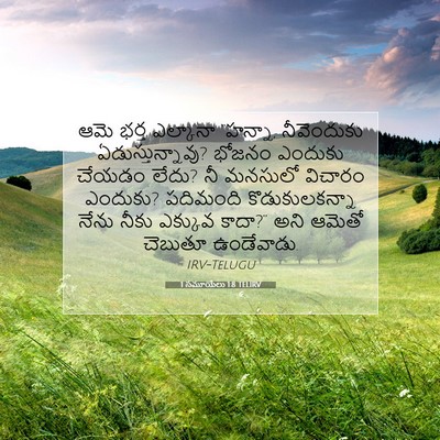 Picture 07 - 1 సమూయేలు 1:8 TELIRV - ఆమె భర్త ఎల్కానా - Bible Verse Picture