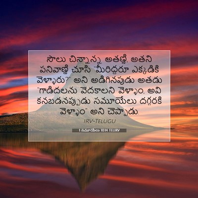 Picture 07 - 1 సమూయేలు 10:14 TELIRV - సౌలు చిన్నాన్న - Bible Verse Picture