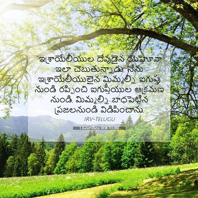 Picture 07 - 1 సమూయేలు 10:18 TELIRV - “ఇశ్రాయేలీయుల - Bible Verse Picture