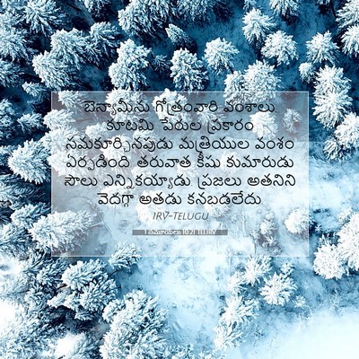 Picture 07 - 1 సమూయేలు 10:21 TELIRV - బెన్యామీను - Bible Verse Picture