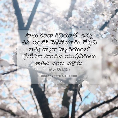 Picture 07 - 1 సమూయేలు 10:26 TELIRV - సౌలు కూడా - Bible Verse Picture