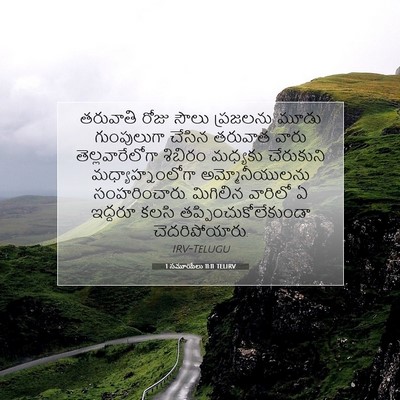 Picture 07 - 1 సమూయేలు 11:11 TELIRV - తరువాతి రోజు సౌలు - Bible Verse Picture