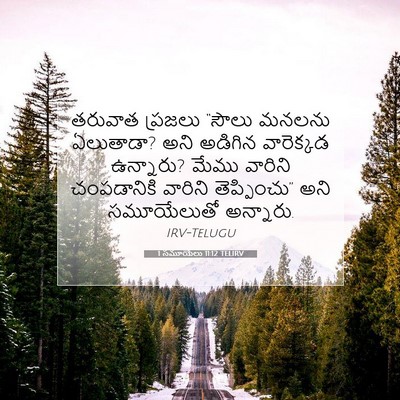 Picture 07 - 1 సమూయేలు 11:12 TELIRV - తరువాత ప్రజలు - Bible Verse Picture