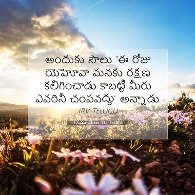 Picture 07 - 1 సమూయేలు 11:13 TELIRV - అందుకు సౌలు “ఈ - Bible Verse Picture