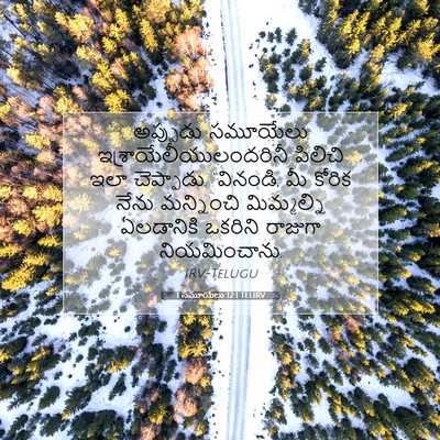 Picture 07 - 1 సమూయేలు 12:1 TELIRV - అప్పుడు సమూయేలు - Bible Verse Picture