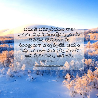 Picture 07 - 1 సమూయేలు 12:12 TELIRV - అయితే అమ్మోనీయుల - Bible Verse Picture