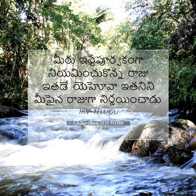 Picture 07 - 1 సమూయేలు 12:13 TELIRV - మీరు - Bible Verse Picture