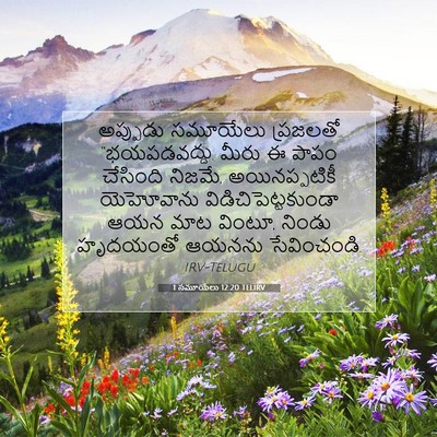 Picture 07 - 1 సమూయేలు 12:20 TELIRV - అప్పుడు సమూయేలు - Bible Verse Picture