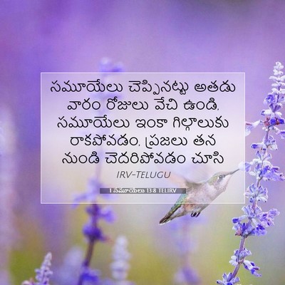 Picture 07 - 1 సమూయేలు 13:8 TELIRV - సమూయేలు - Bible Verse Picture