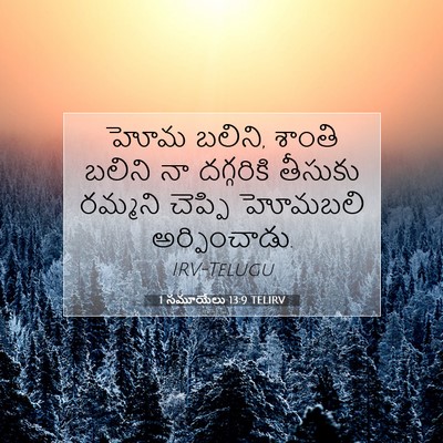 Picture 07 - 1 సమూయేలు 13:9 TELIRV - హోమ బలిని, శాంతి - Bible Verse Picture