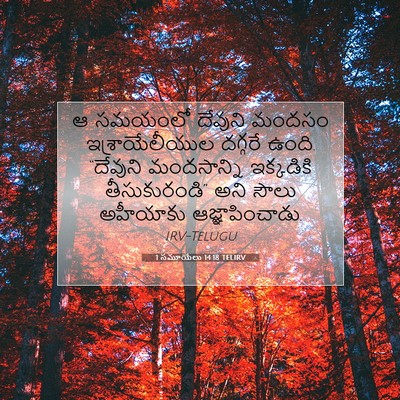 Picture 07 - 1 సమూయేలు 14:18 TELIRV - ఆ సమయంలో దేవుని - Bible Verse Picture