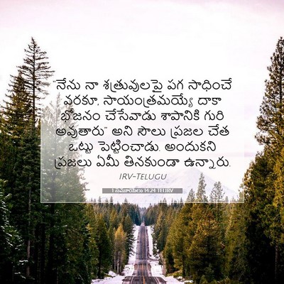 Picture 07 - 1 సమూయేలు 14:24 TELIRV - “నేను నా - Bible Verse Picture