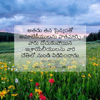 Picture 07 - 1 సమూయేలు 14:48 TELIRV - అతడు తన సైన్యంతో - Bible Verse Picture
