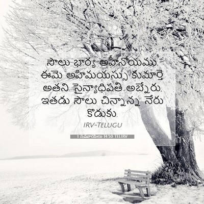 Picture 07 - 1 సమూయేలు 14:50 TELIRV - సౌలు భార్య - Bible Verse Picture