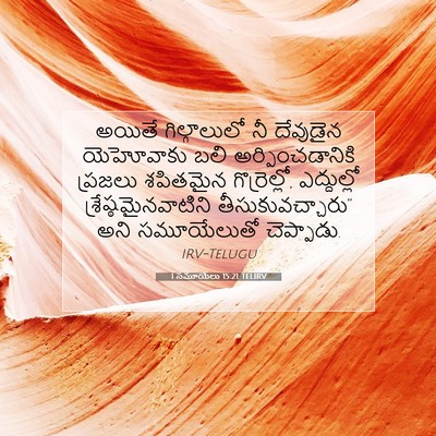 Picture 07 - 1 సమూయేలు 15:21 TELIRV - అయితే గిల్గాలులో - Bible Verse Picture