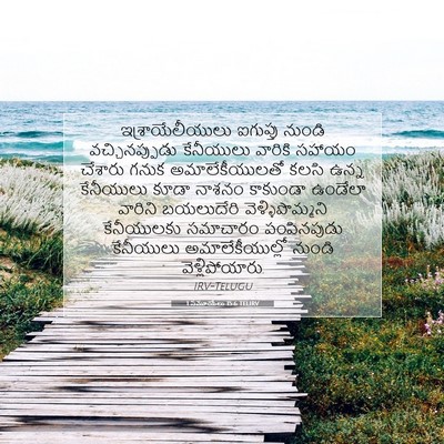 Picture 07 - 1 సమూయేలు 15:6 TELIRV - ఇశ్రాయేలీయులు - Bible Verse Picture