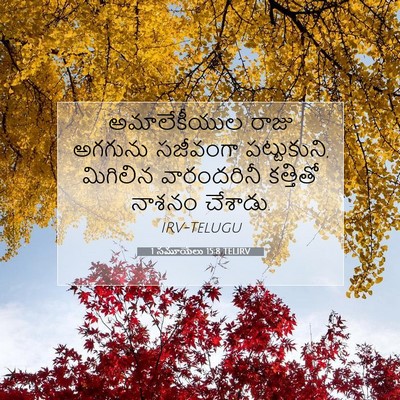 Picture 07 - 1 సమూయేలు 15:8 TELIRV - అమాలేకీయుల రాజు - Bible Verse Picture