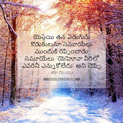 Picture 07 - 1 సమూయేలు 16:10 TELIRV - యెష్షయి తన - Bible Verse Picture