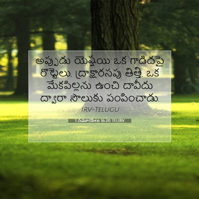 Picture 07 - 1 సమూయేలు 16:20 TELIRV - అప్పుడు యెష్షయి - Bible Verse Picture