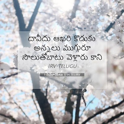 Picture 07 - 1 సమూయేలు 17:14 TELIRV - దావీదు ఆఖరి - Bible Verse Picture