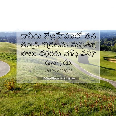 Picture 07 - 1 సమూయేలు 17:15 TELIRV - దావీదు - Bible Verse Picture