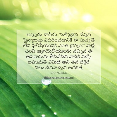 Picture 07 - 1 సమూయేలు 17:26 TELIRV - అప్పుడు దావీదు - Bible Verse Picture
