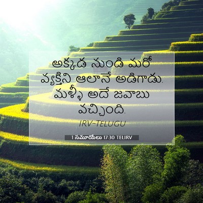 Picture 07 - 1 సమూయేలు 17:30 TELIRV - అక్కడ నుండి మరో - Bible Verse Picture