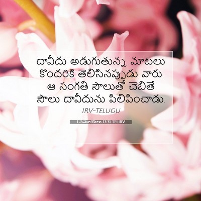 Picture 07 - 1 సమూయేలు 17:31 TELIRV - దావీదు అడుగుతున్న - Bible Verse Picture