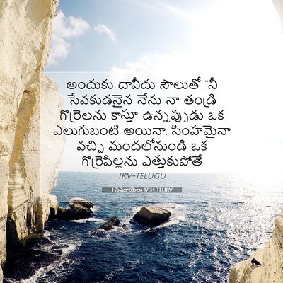 Picture 07 - 1 సమూయేలు 17:34 TELIRV - అందుకు దావీదు - Bible Verse Picture