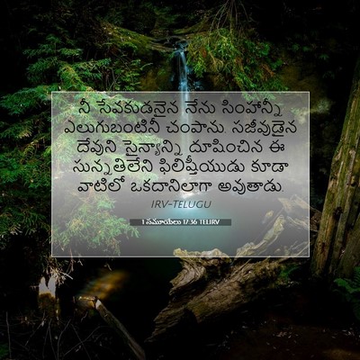 Picture 07 - 1 సమూయేలు 17:36 TELIRV - నీ సేవకుడనైన నేను - Bible Verse Picture