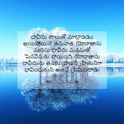 Picture 07 - 1 సమూయేలు 18:1 TELIRV - దావీదు సౌలుతో - Bible Verse Picture