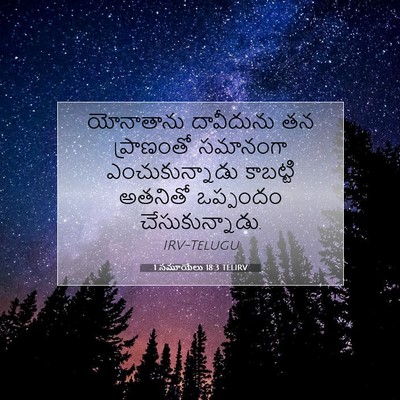 Picture 07 - 1 సమూయేలు 18:3 TELIRV - యోనాతాను దావీదును - Bible Verse Picture