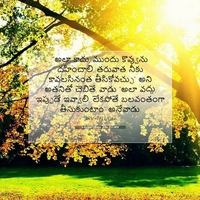 Picture 07 - 1 సమూయేలు 2:16 TELIRV - “అలా కాదు, ముందు - Bible Verse Picture