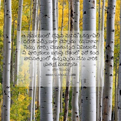 Picture 07 - 1 సమూయేలు 2:27 TELIRV - ఆ సమయంలో దేవుని - Bible Verse Picture