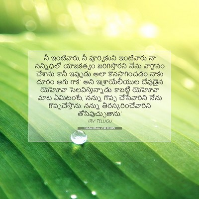 Picture 07 - 1 సమూయేలు 2:30 TELIRV - నీ ఇంటివారు, నీ - Bible Verse Picture