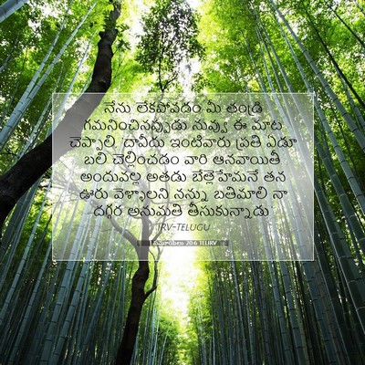 Picture 07 - 1 సమూయేలు 20:6 TELIRV - నేను లేకపోవడం మీ - Bible Verse Picture