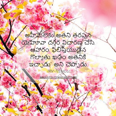 Picture 07 - 1 సమూయేలు 22:10 TELIRV - అహీమెలెకు అతని - Bible Verse Picture