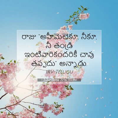 Picture 07 - 1 సమూయేలు 22:16 TELIRV - రాజు “అహీమెలెకూ, - Bible Verse Picture