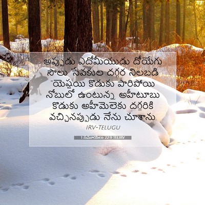 Picture 07 - 1 సమూయేలు 22:9 TELIRV - అప్పుడు ఎదోమీయుడు - Bible Verse Picture