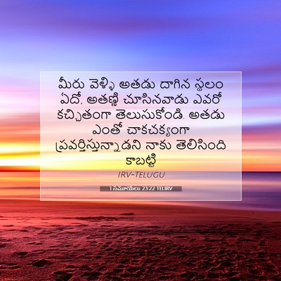 Picture 07 - 1 సమూయేలు 23:22 TELIRV - మీరు వెళ్ళి అతడు - Bible Verse Picture
