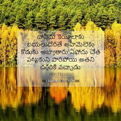 Picture 07 - 1 సమూయేలు 23:6 TELIRV - దావీదు కెయీలాకు - Bible Verse Picture