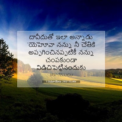 Picture 07 - 1 సమూయేలు 24:17 TELIRV - దావీదుతో ఇలా - Bible Verse Picture