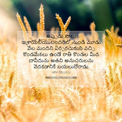 Picture 07 - 1 సమూయేలు 24:2 TELIRV - అప్పుడు సౌలు - Bible Verse Picture