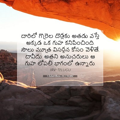 Picture 07 - 1 సమూయేలు 24:3 TELIRV - దారిలో గొర్రెల - Bible Verse Picture