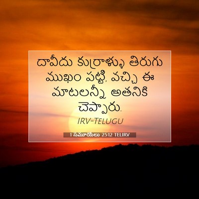 Picture 07 - 1 సమూయేలు 25:12 TELIRV - దావీదు కుర్రాళ్ళు - Bible Verse Picture