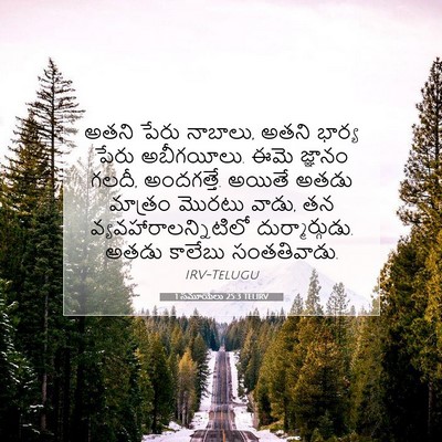 Picture 07 - 1 సమూయేలు 25:3 TELIRV - అతని పేరు నాబాలు, - Bible Verse Picture