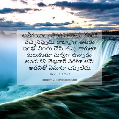 Picture 07 - 1 సమూయేలు 25:36 TELIRV - అబీగయీలు తిరిగి - Bible Verse Picture