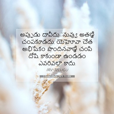 Picture 07 - 1 సమూయేలు 26:9 TELIRV - అప్పుడు దావీదు - Bible Verse Picture
