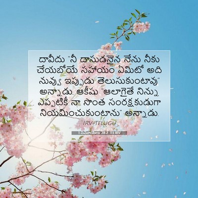 Picture 07 - 1 సమూయేలు 28:2 TELIRV - దావీదు “నీ - Bible Verse Picture