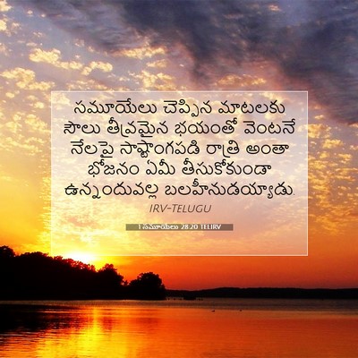 Picture 07 - 1 సమూయేలు 28:20 TELIRV - సమూయేలు చెప్పిన - Bible Verse Picture